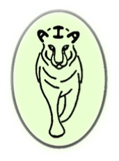 AIA Logo Green