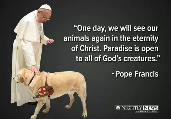 Pope Francis and Companion Animals